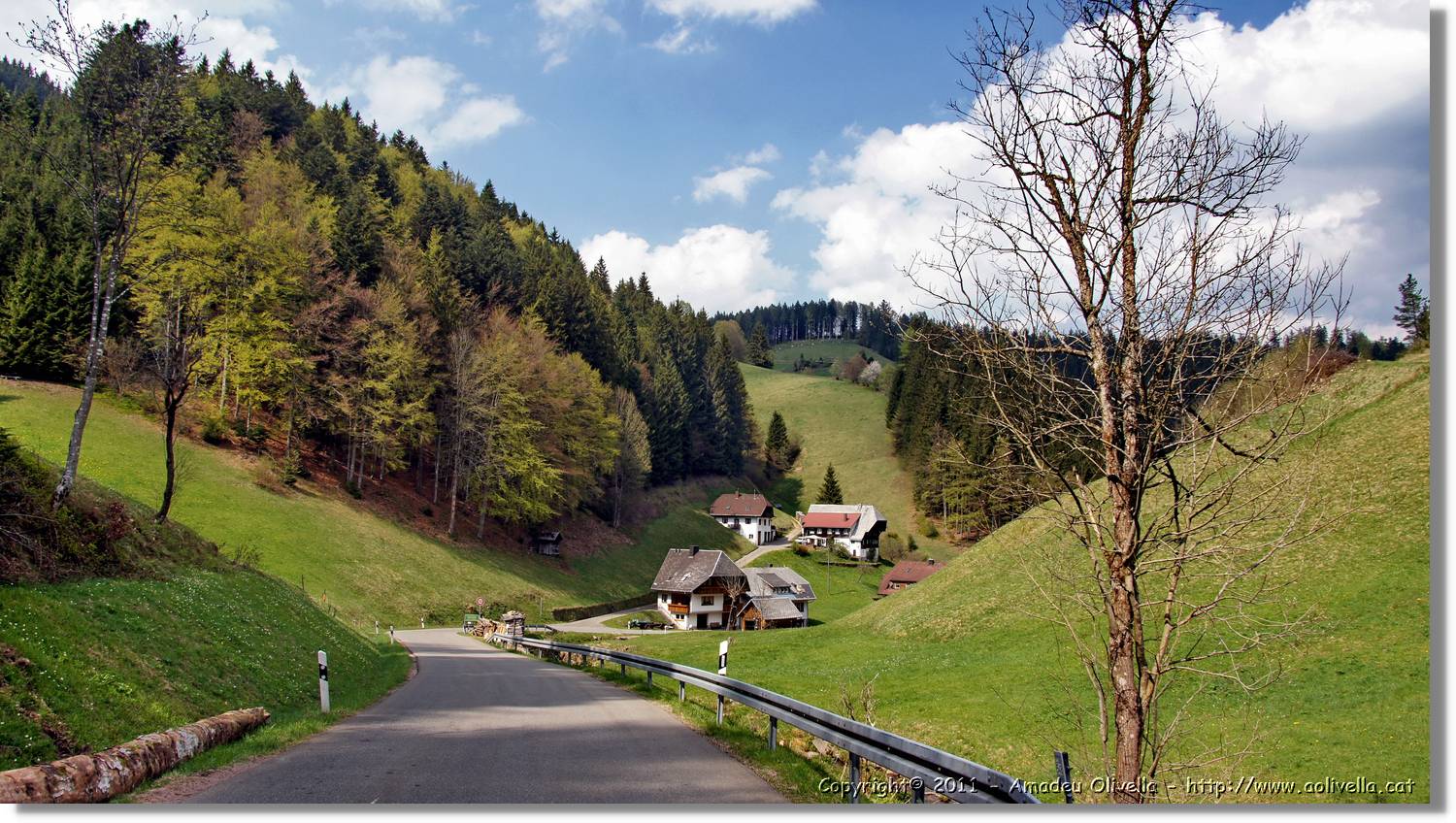 Schwarzwald_012.jpg