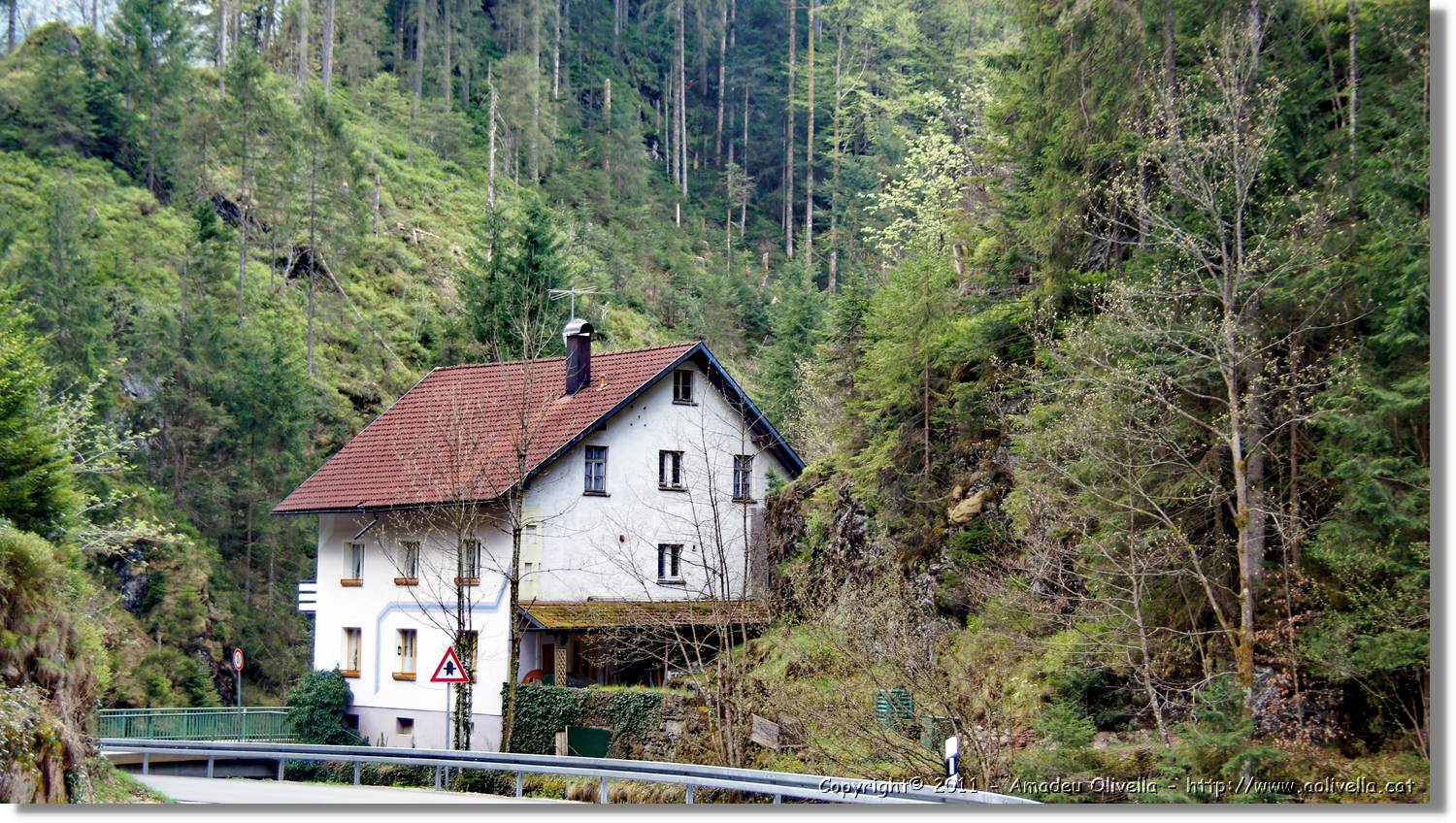 Schwarzwald_013.jpg