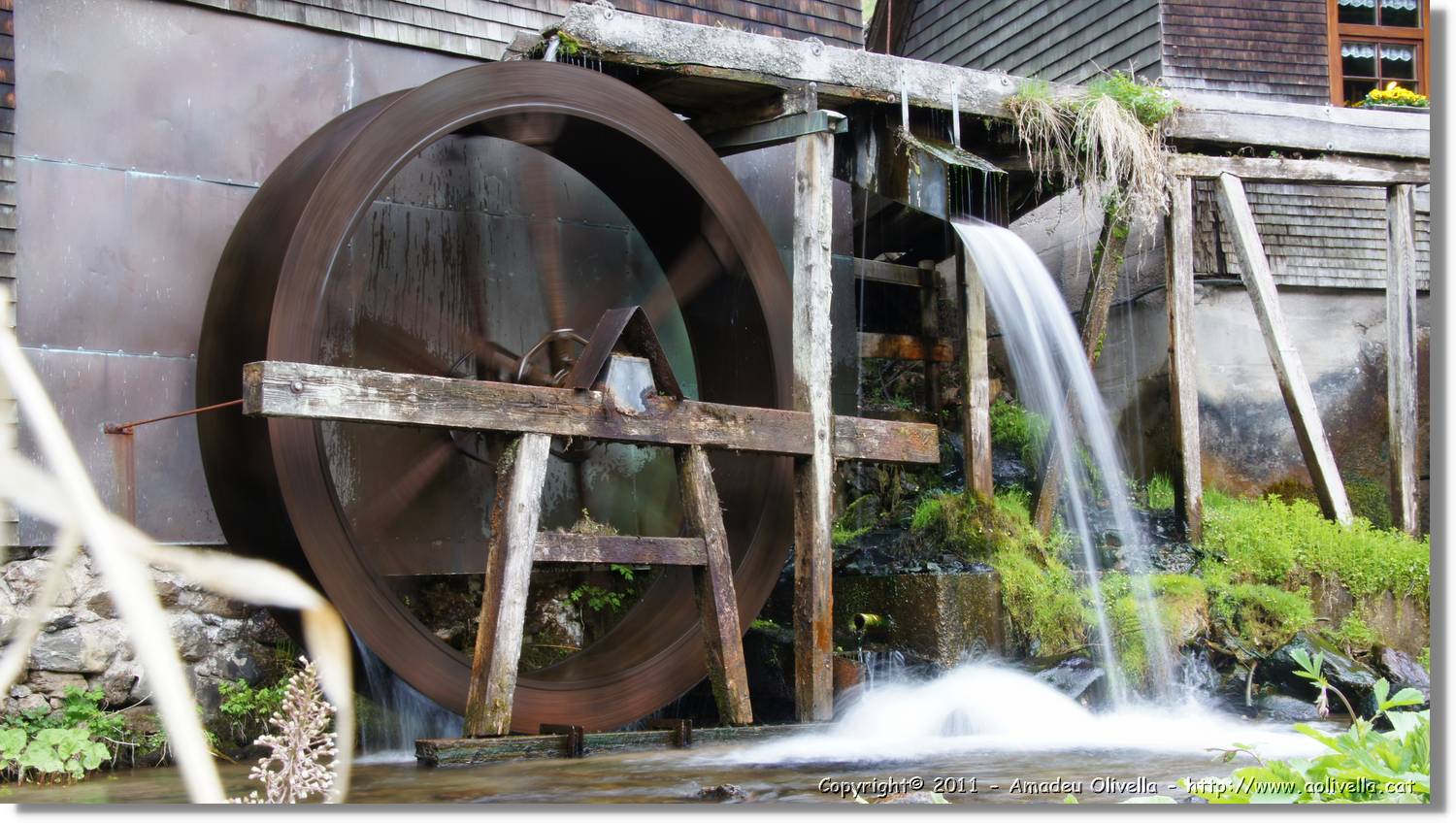 Schwarzwald_017.jpg