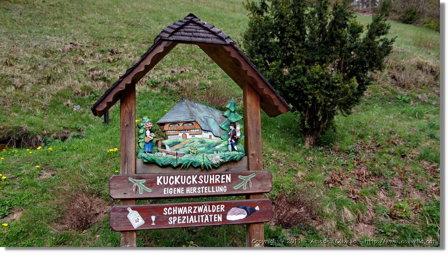 Schwarzwald_024.jpg