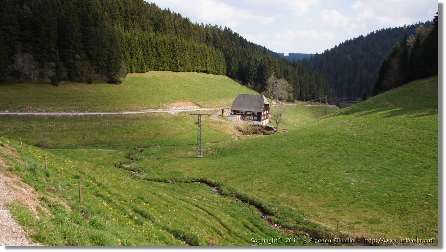 Schwarzwald_026.jpg