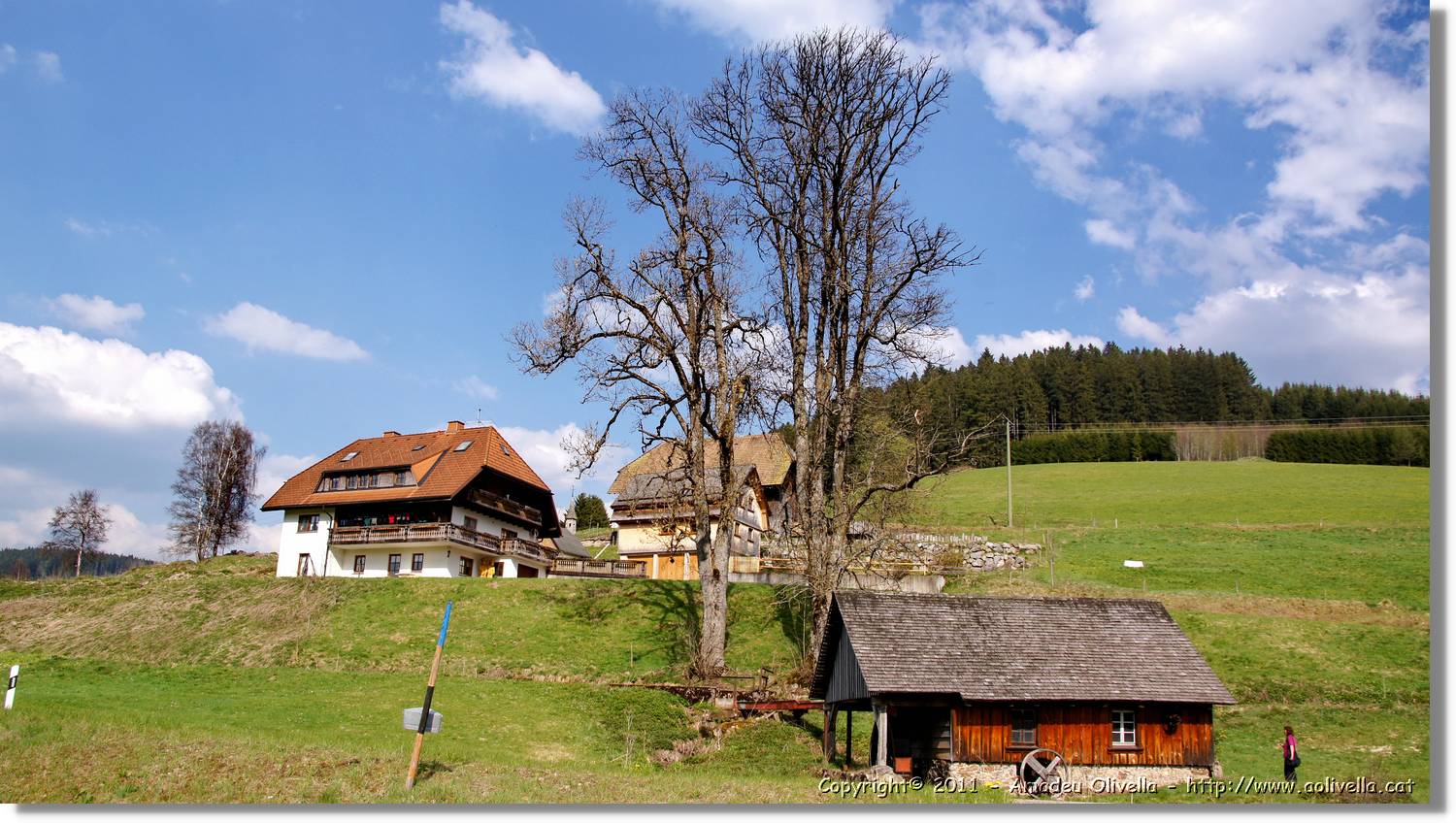 Schwarzwald_028.jpg