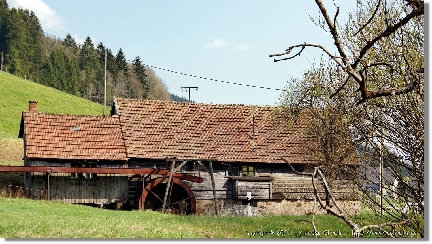 Schwarzwald_029.jpg