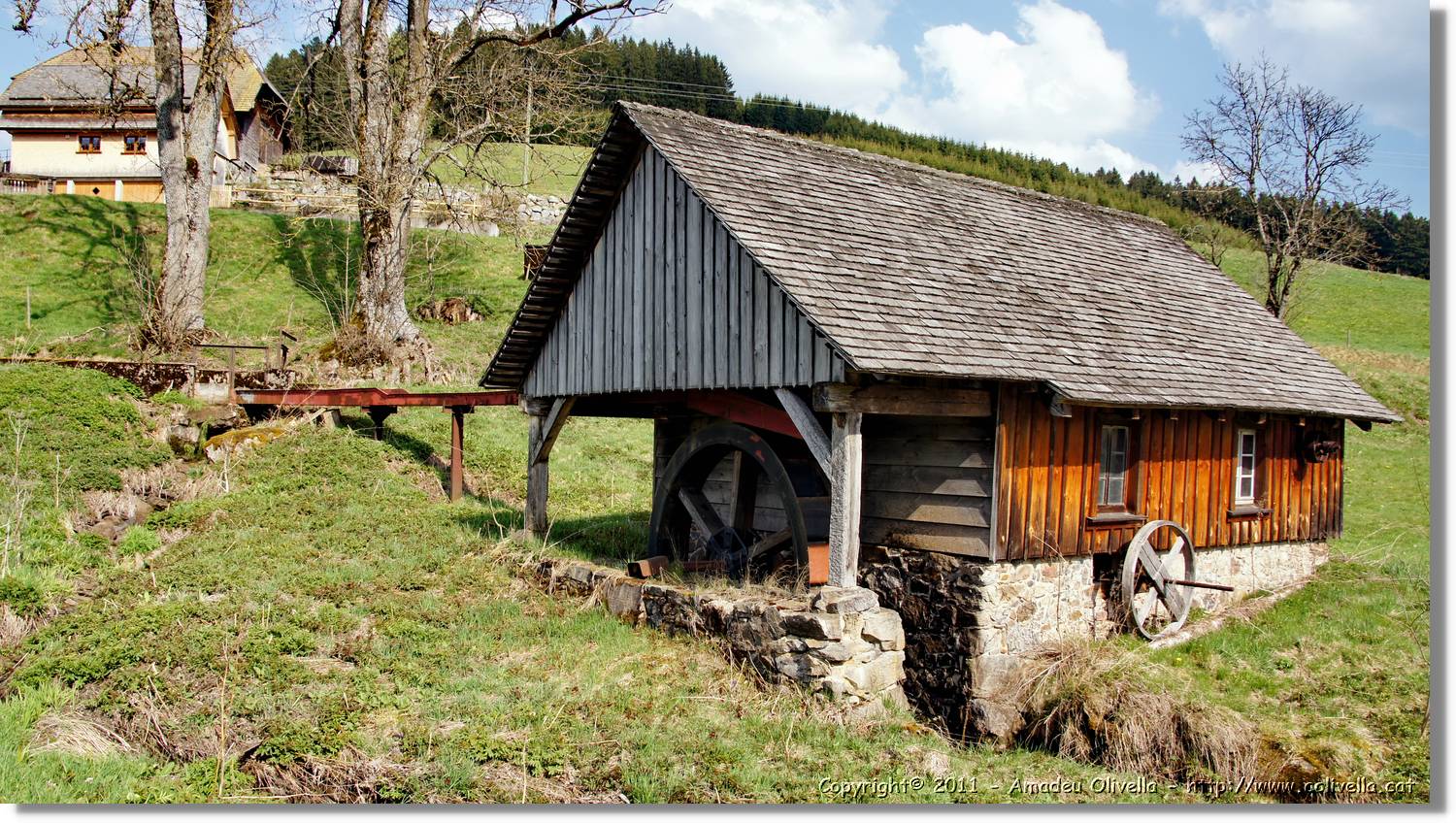 Schwarzwald_030.jpg