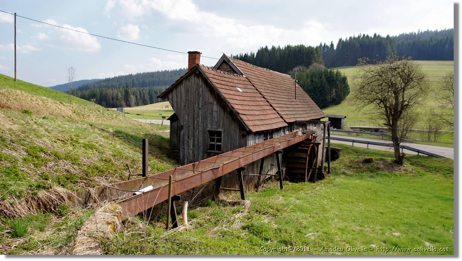 Schwarzwald_032.jpg