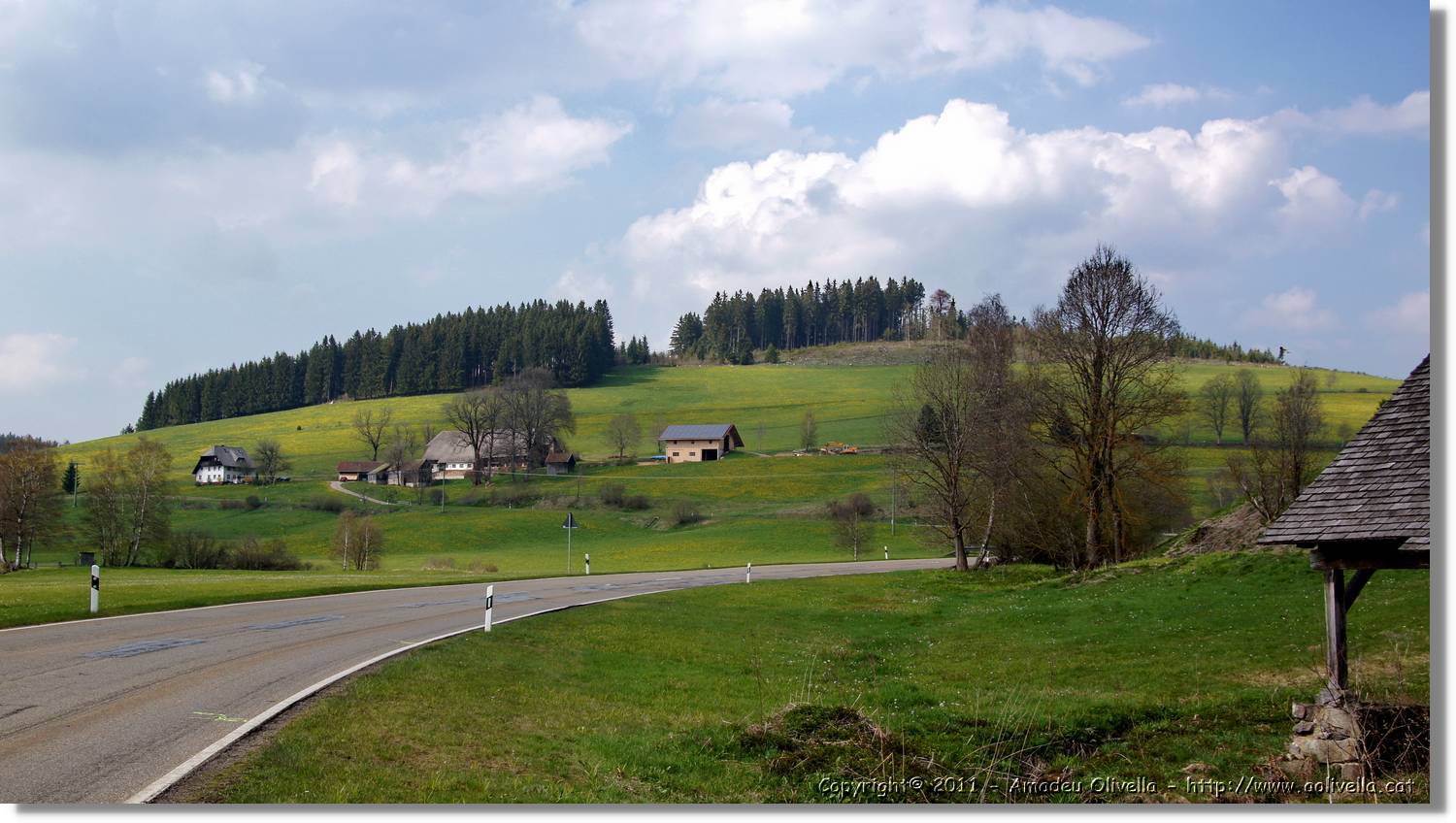 Schwarzwald_039.jpg