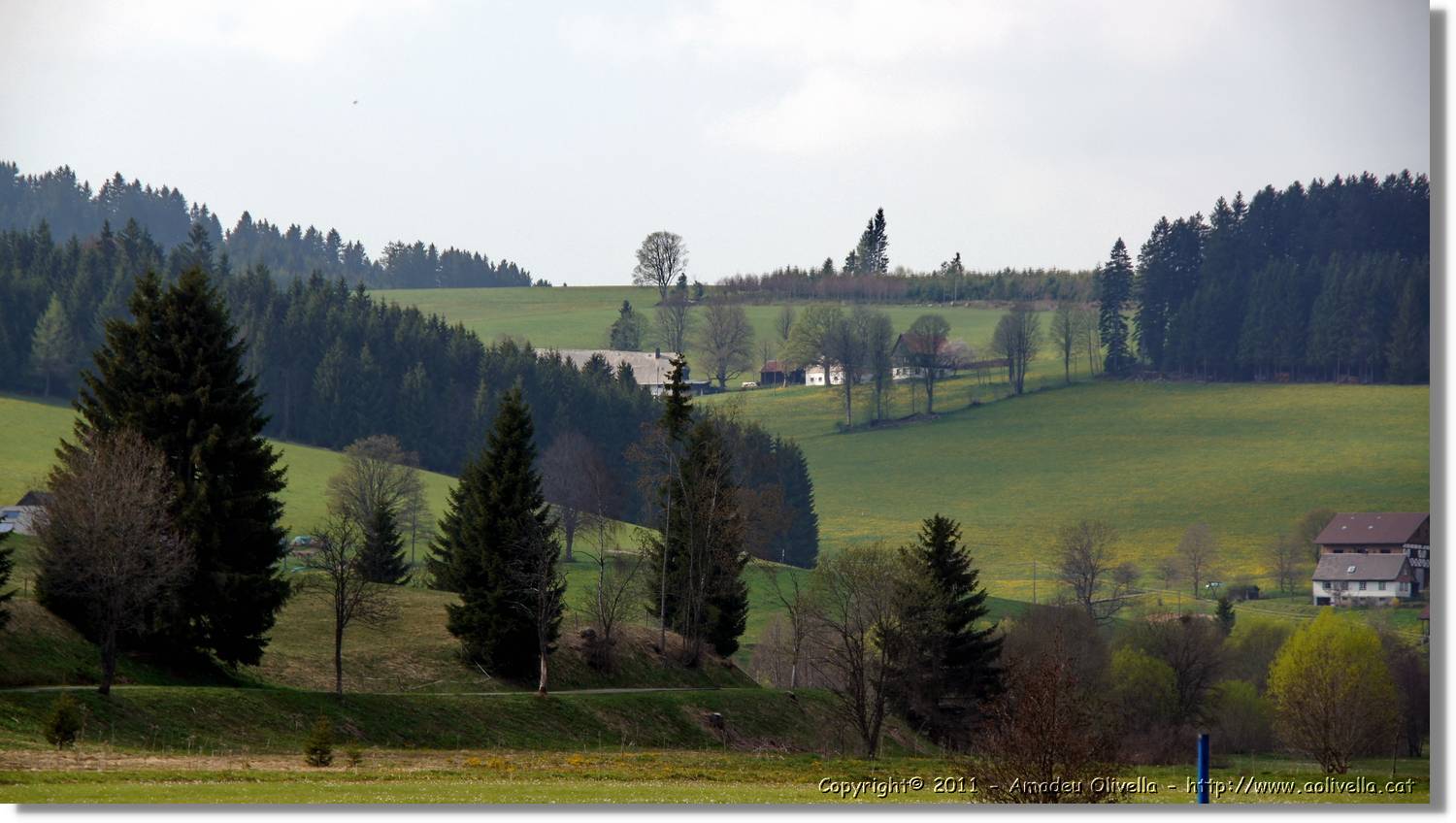 Schwarzwald_040.jpg