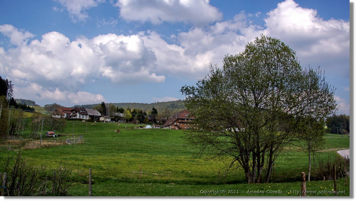 Schwarzwald_041.jpg