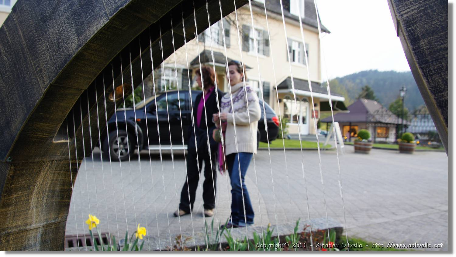 Schwarzwald_062.jpg