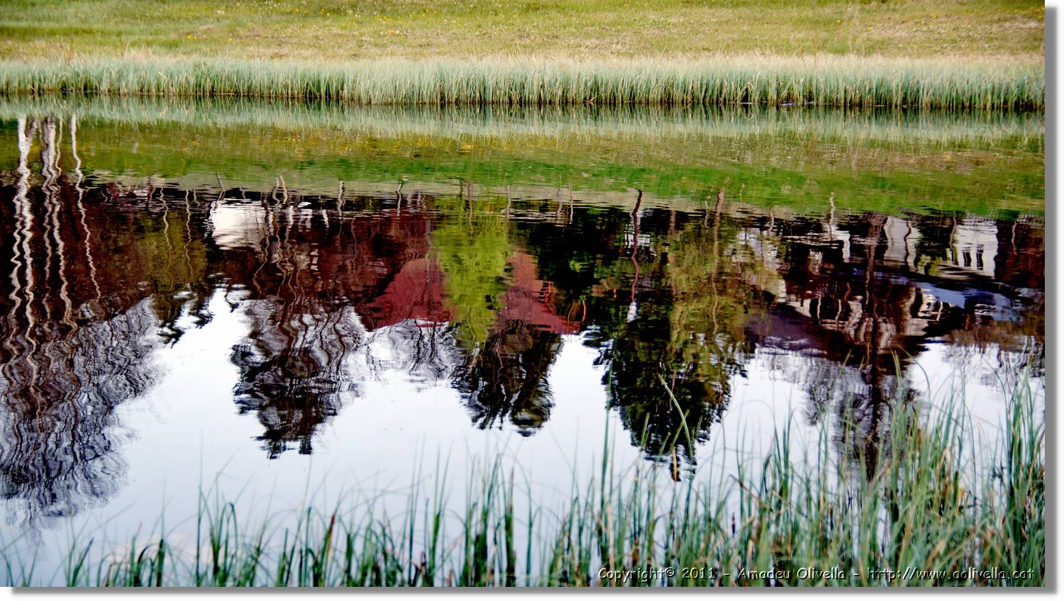 Schwarzwald_071.jpg