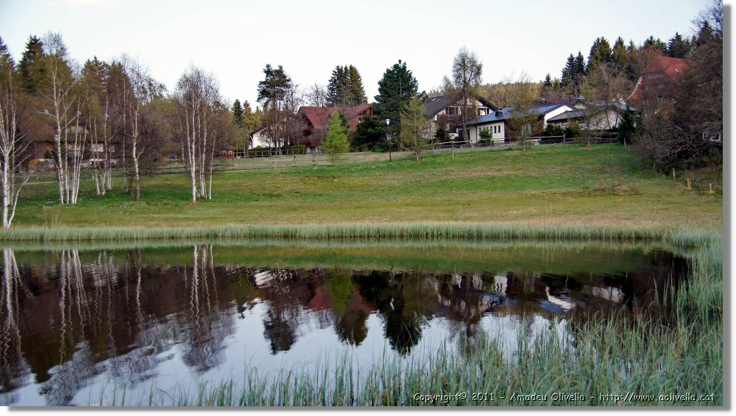 Schwarzwald_073.jpg