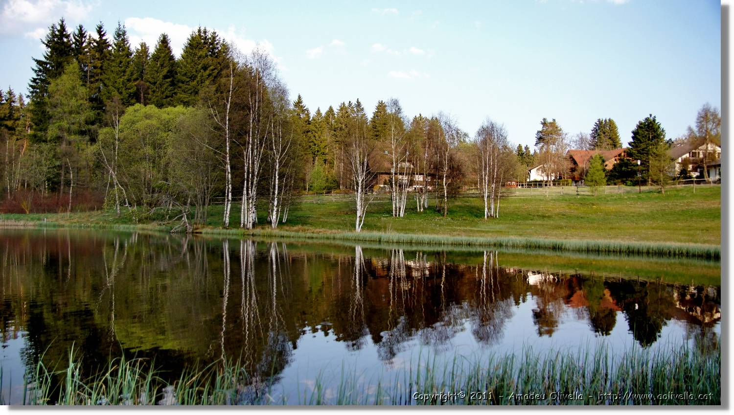 Schwarzwald_075.jpg