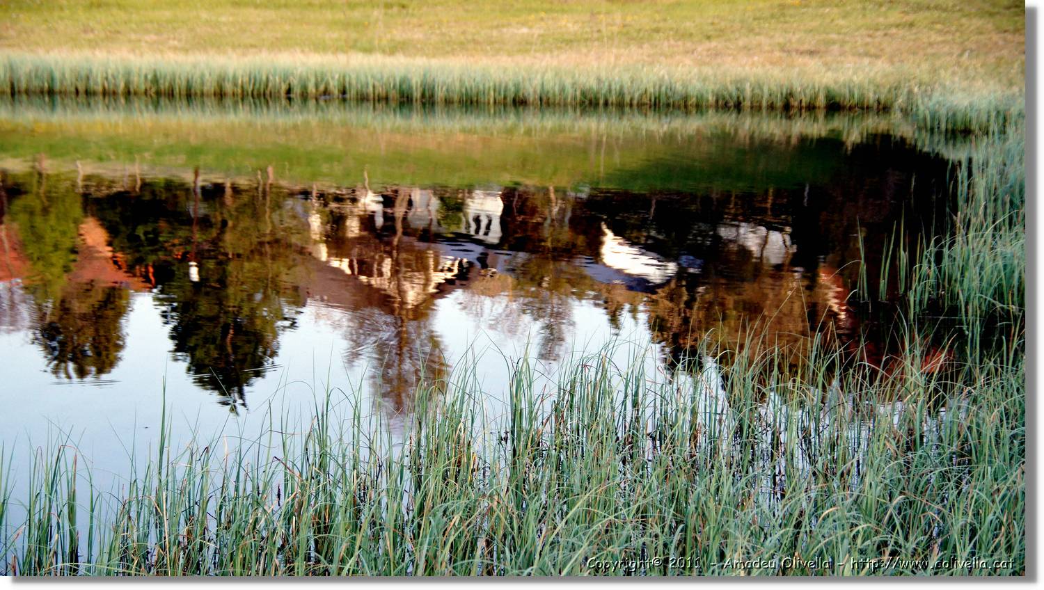 Schwarzwald_076.jpg
