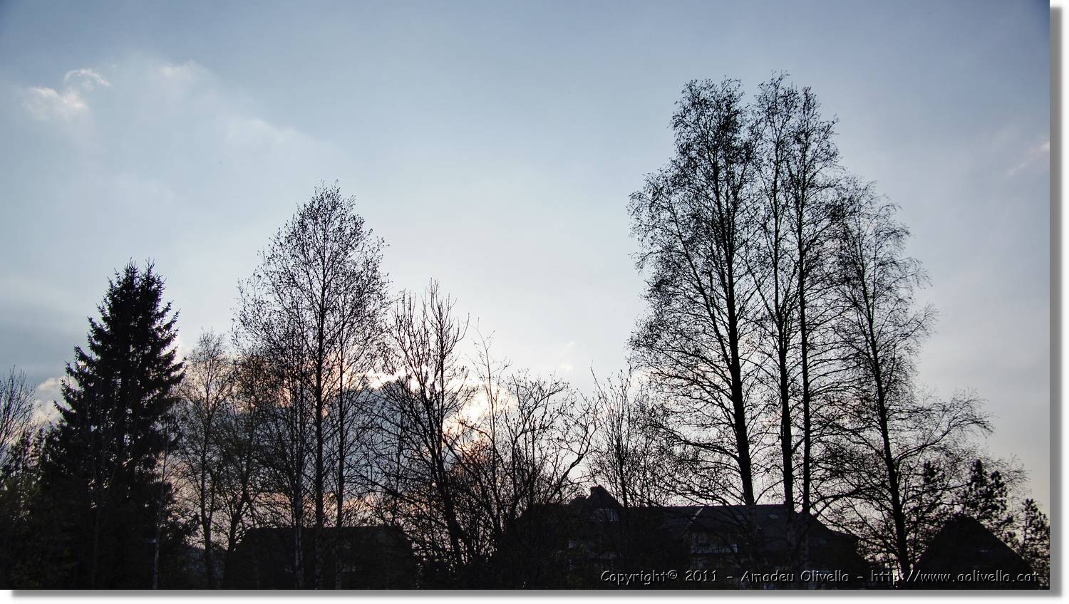 Schwarzwald_079.jpg