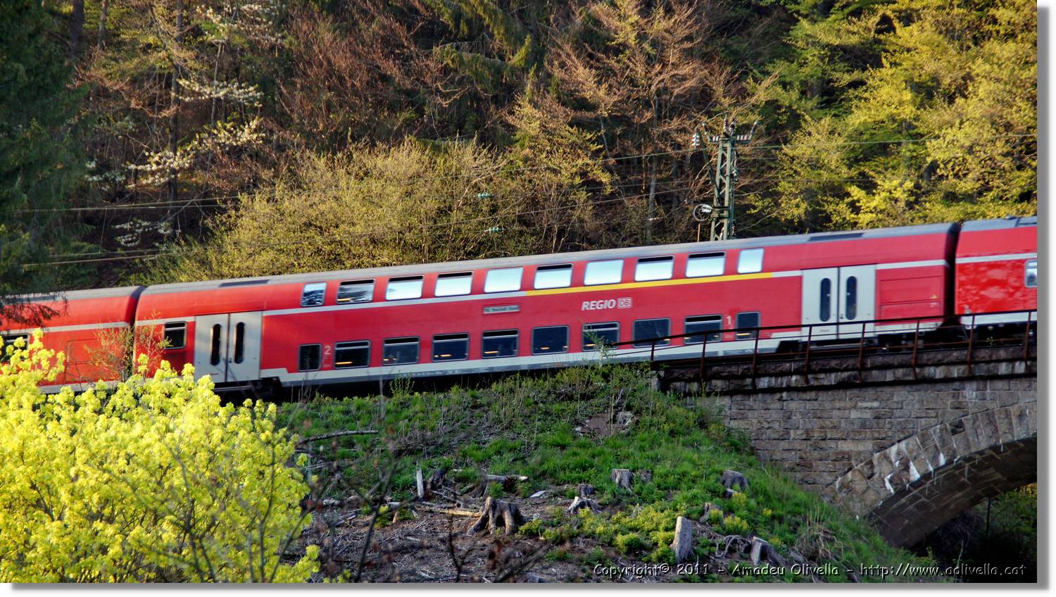 Schwarzwald_087.jpg