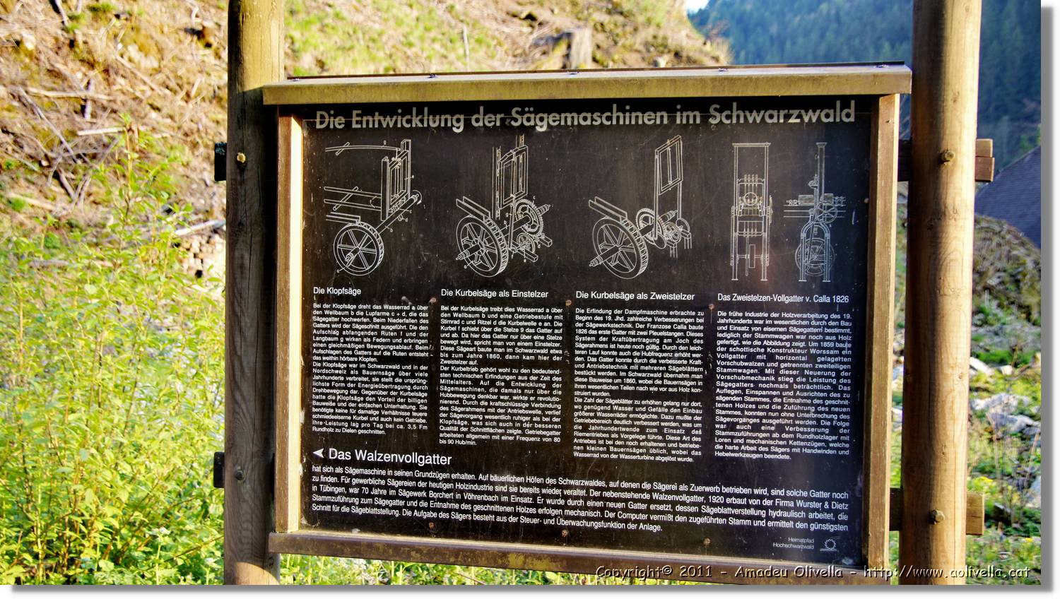 Schwarzwald_090.jpg