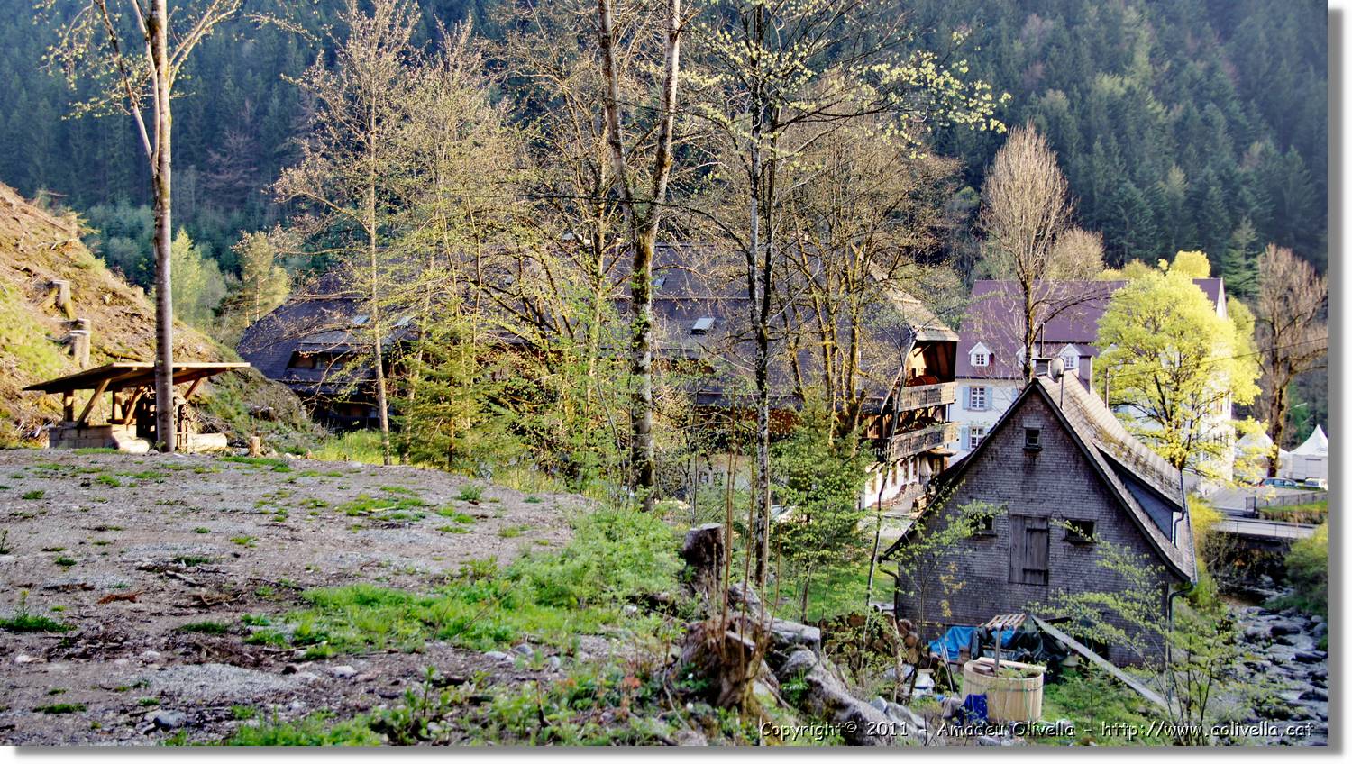 Schwarzwald_094.jpg