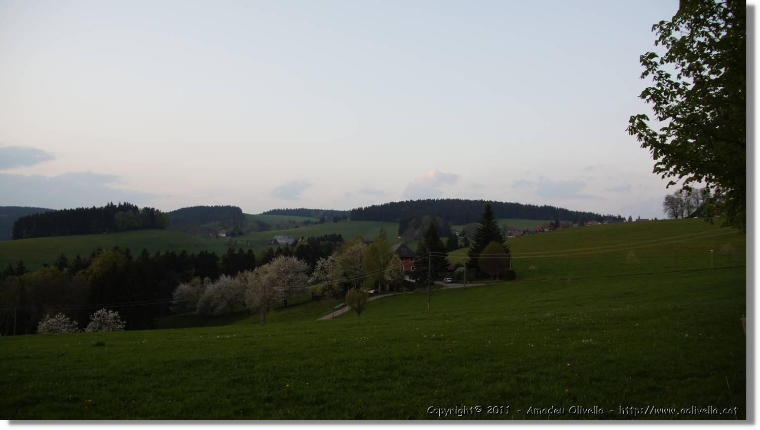 Schwarzwald_096.jpg