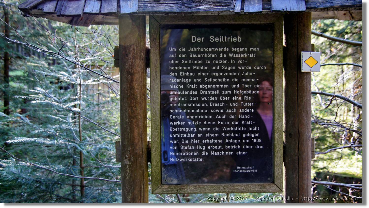 Schwarzwald_118.jpg