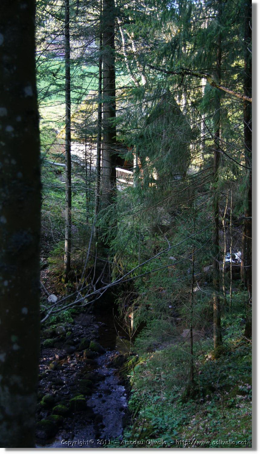 Schwarzwald_127.jpg