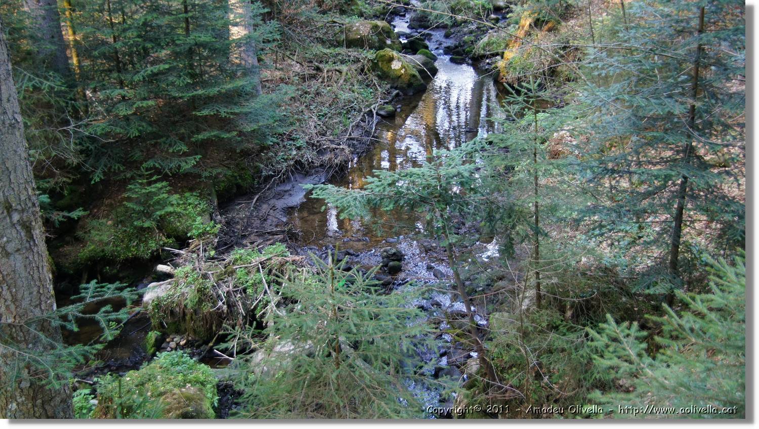 Schwarzwald_144.jpg