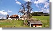 Schwarzwald_028.jpg
