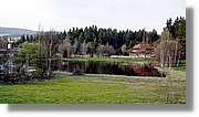 Schwarzwald_068.jpg