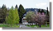 Schwarzwald_069.jpg