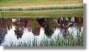 Schwarzwald_072.jpg