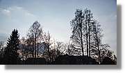 Schwarzwald_079.jpg