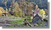 Schwarzwald_094.jpg