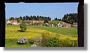 Schwarzwald_105.jpg