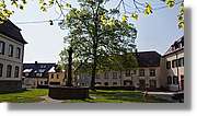 Schwarzwald_110.jpg