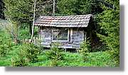 Schwarzwald_114.jpg