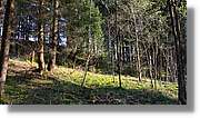 Schwarzwald_115.jpg
