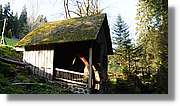 Schwarzwald_121.jpg