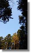 Schwarzwald_142.jpg