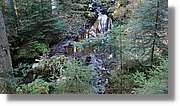 Schwarzwald_144.jpg