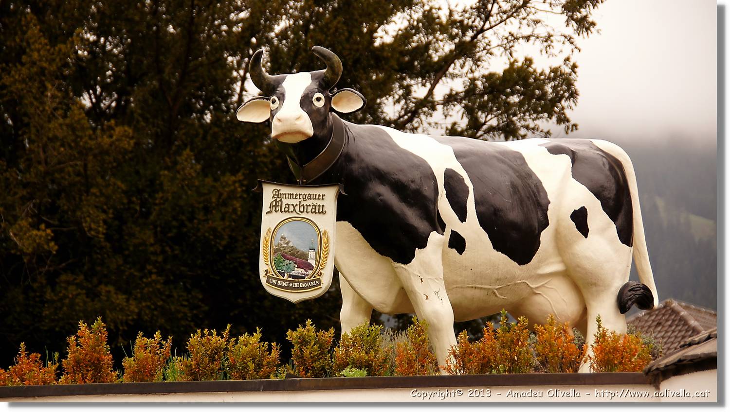 Bayern_172.jpg
