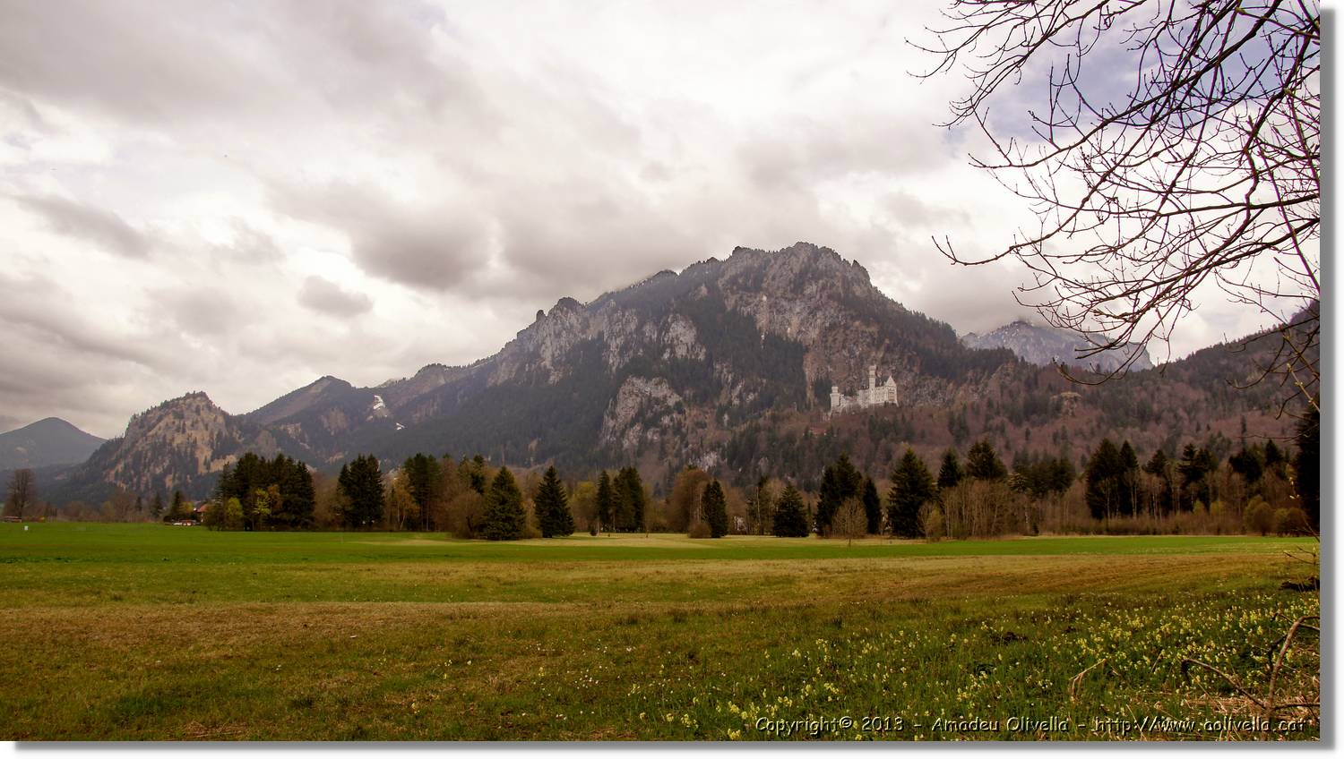 Neuschwanstein_77.jpg