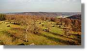 OBK_049.jpg