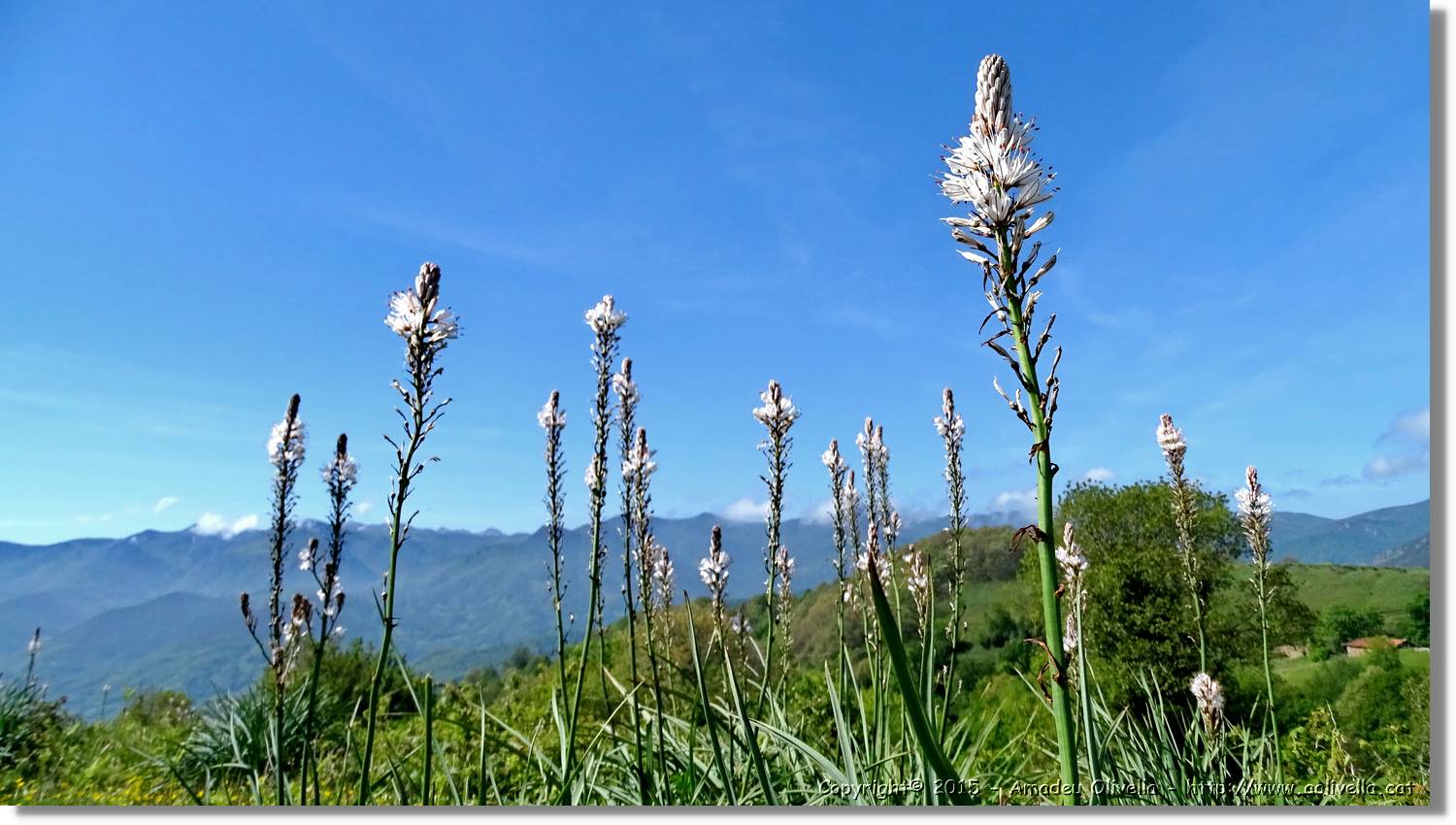 Asturies_026.jpg