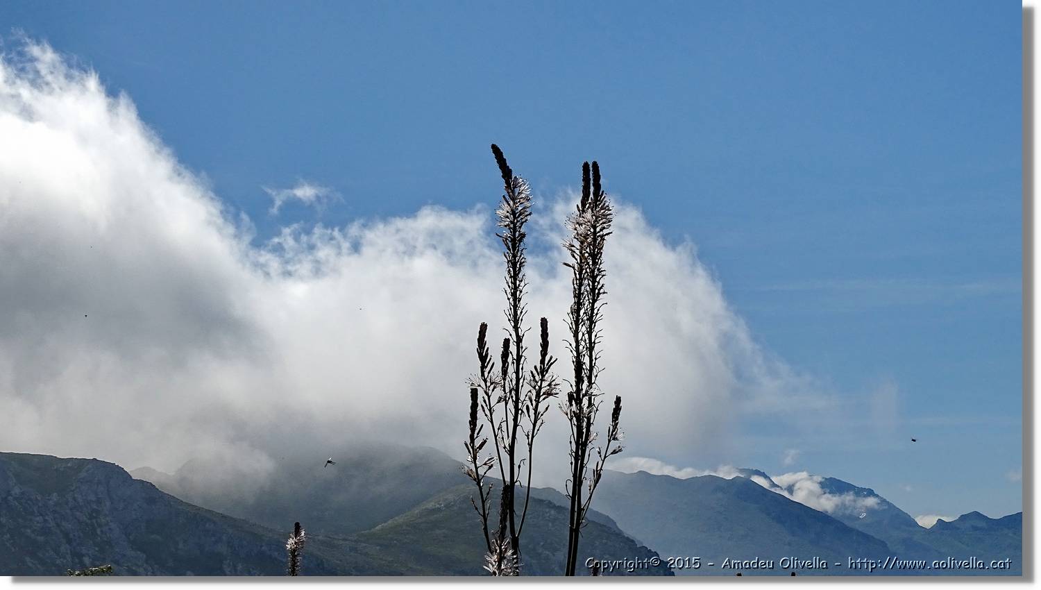 Asturies_027.jpg