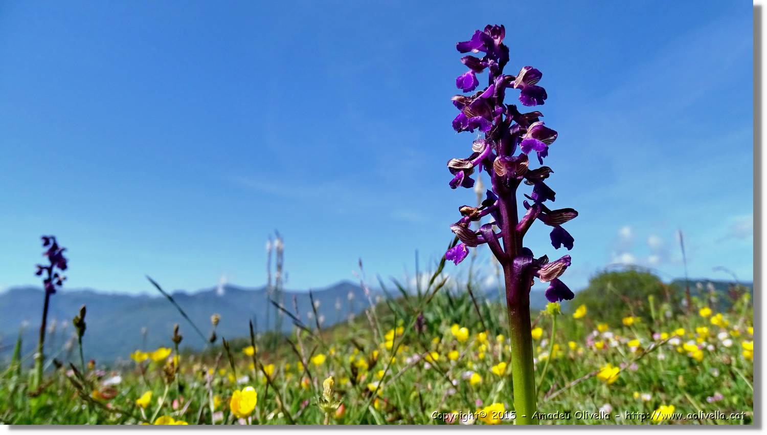 Asturies_029.jpg