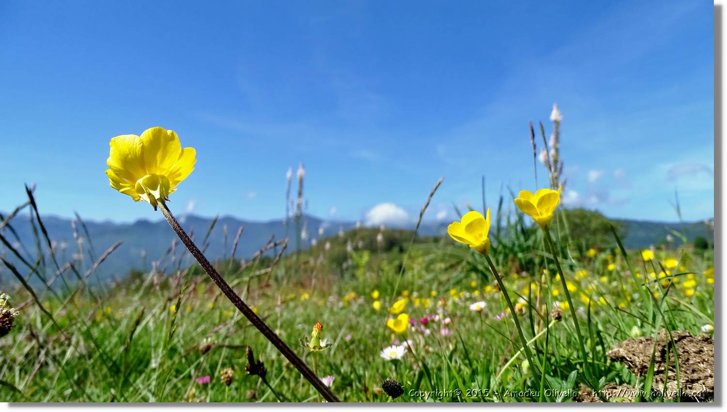 Asturies_030.jpg