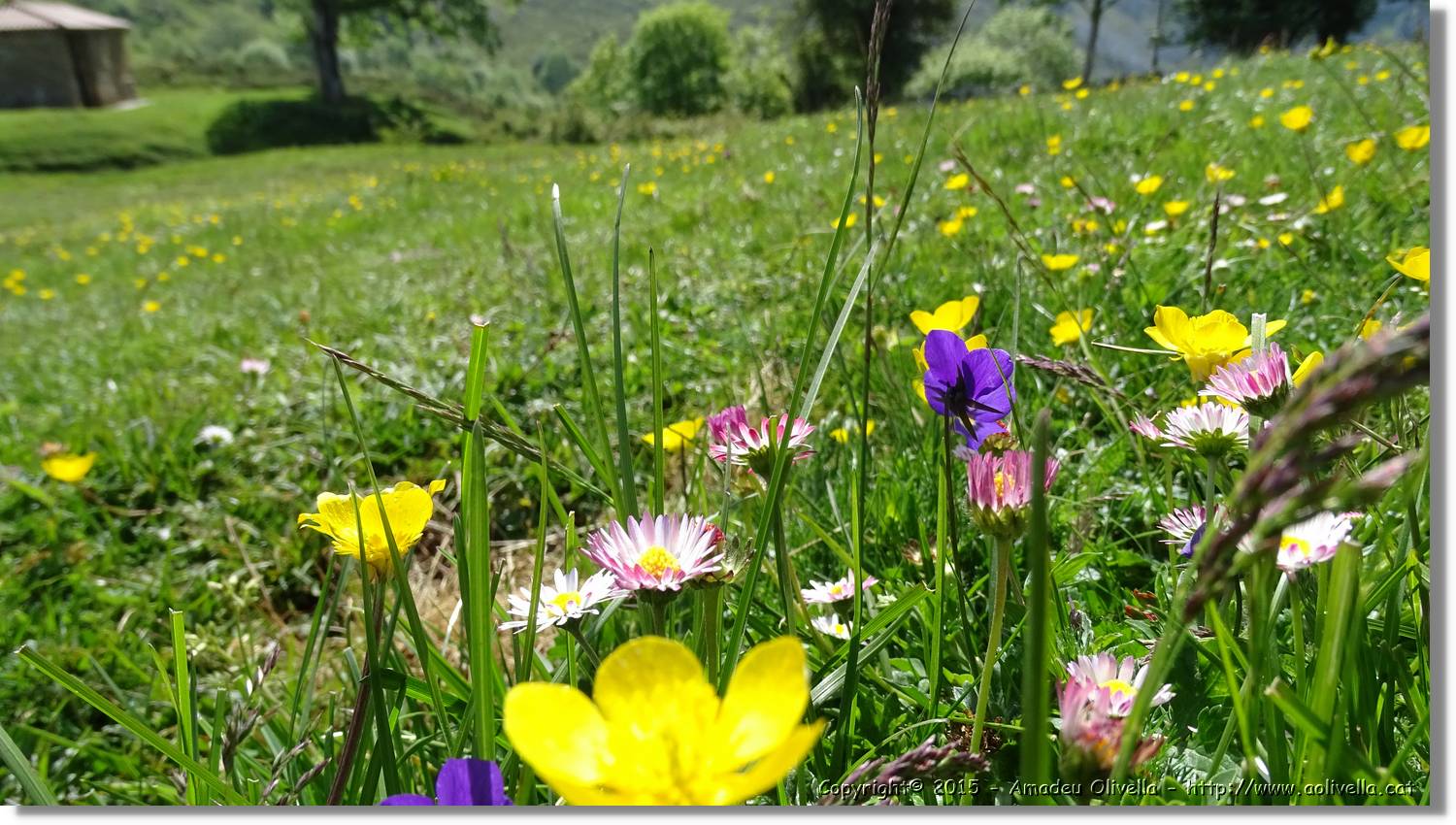 Asturies_042.jpg