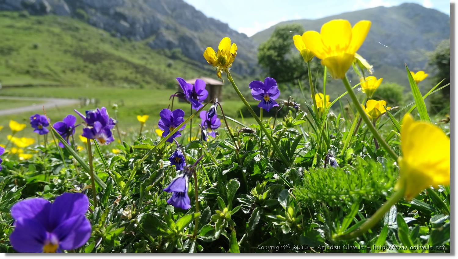 Asturies_043.jpg