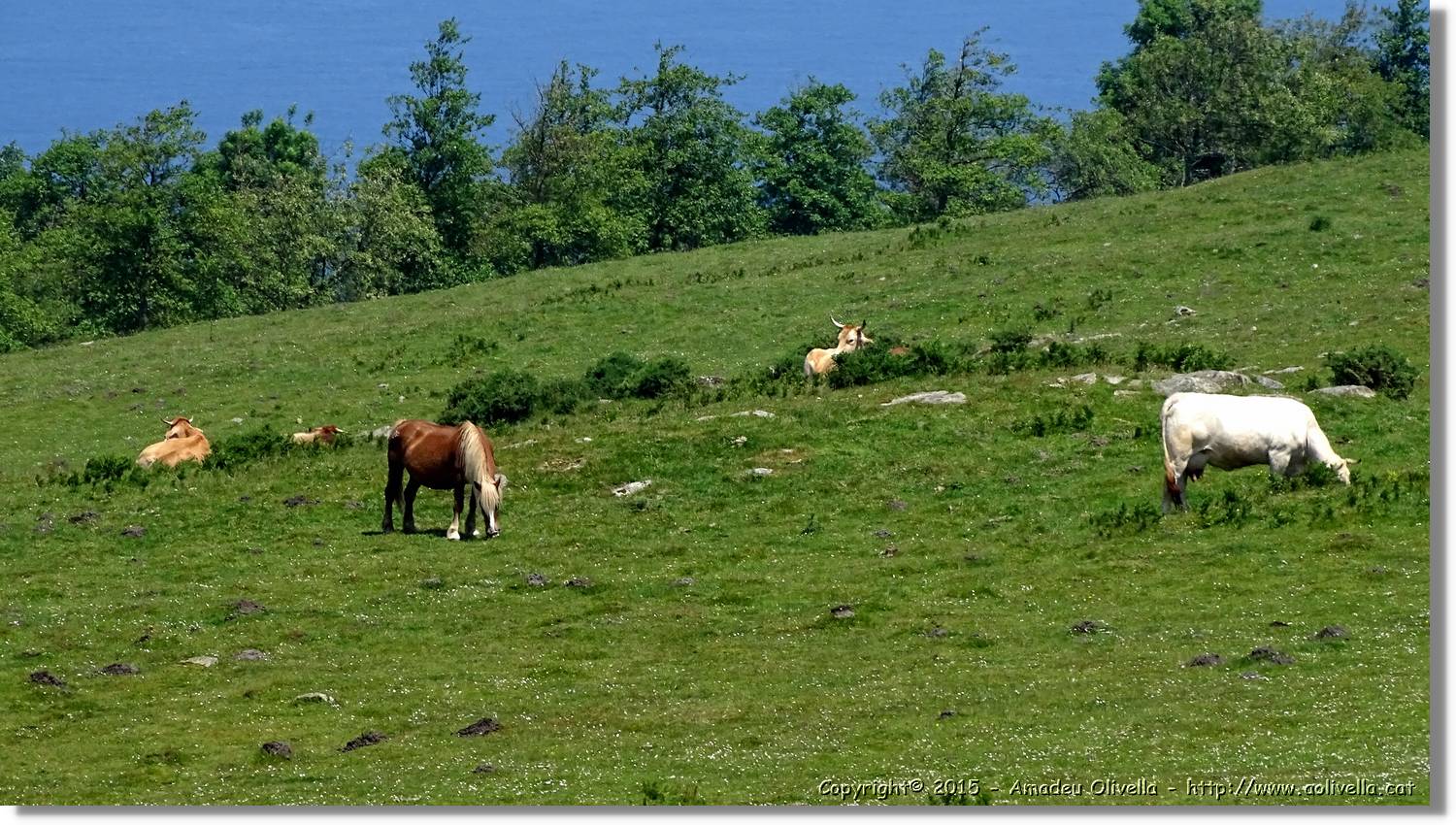 Asturies_151.jpg