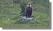 Asturies_010.jpg