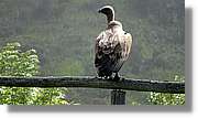 Asturies_020.jpg
